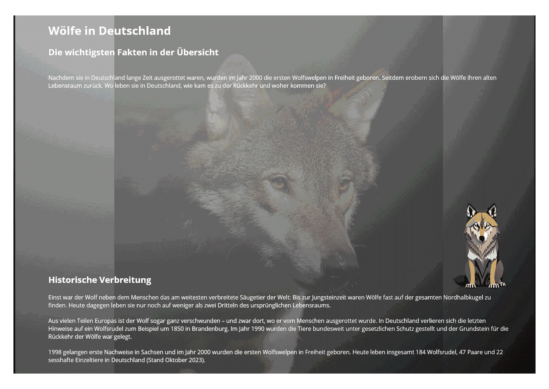 Indesign/ Illustrator/ Layouts